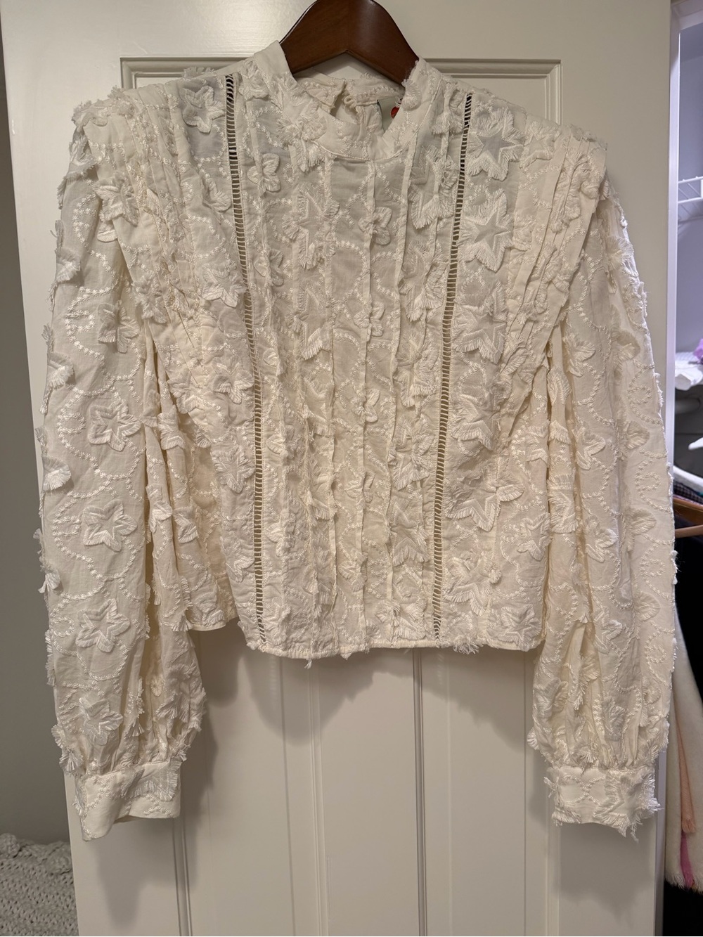 FARM Rio Cream Embroidered Lace Long-Sleeve Blouse